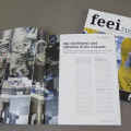 FEEI Jahresbericht 2012/2013